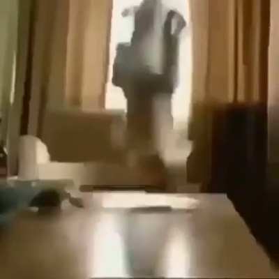 wtfdog