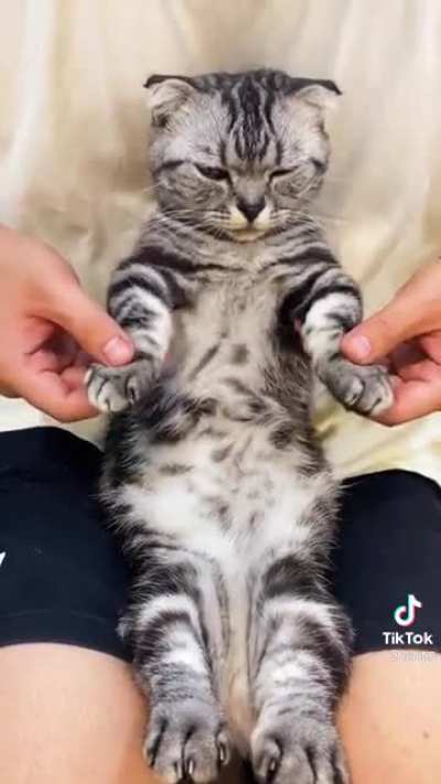 Right meow I'm a dancer.