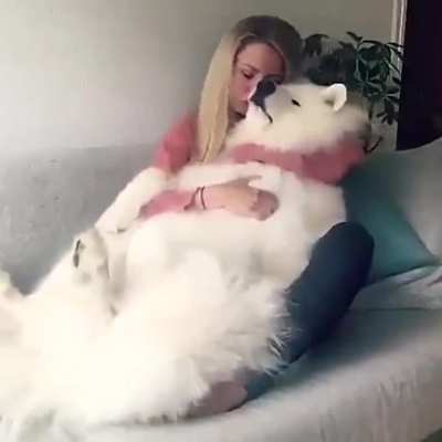 Любовь это...