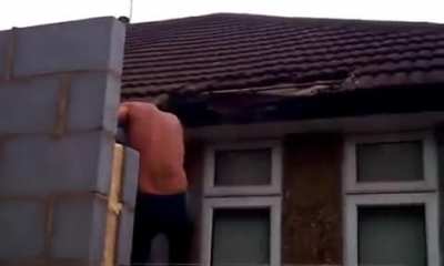 Wasp nest removal fail