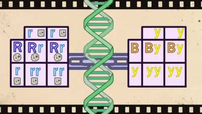genetics