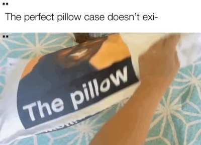 The cooler Daniel bedding