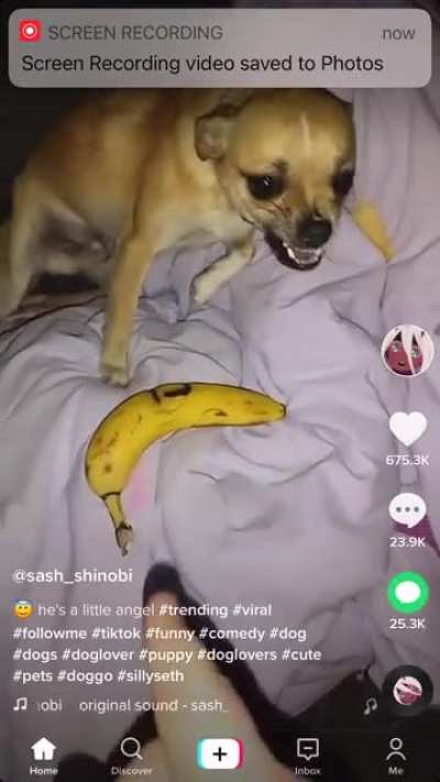 Don&rsquo;t take away the banana
