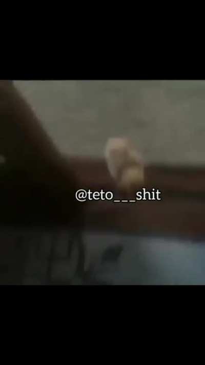 Kkkk tadinhoo