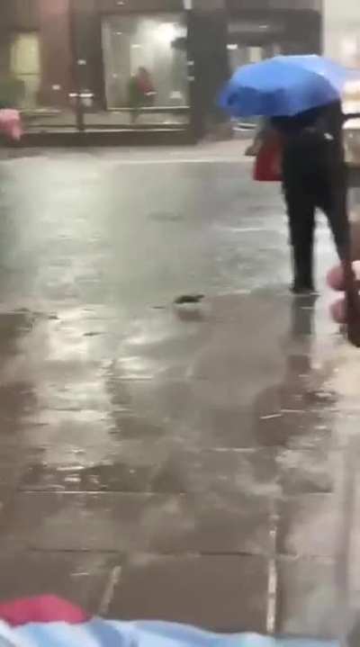 Fofinho