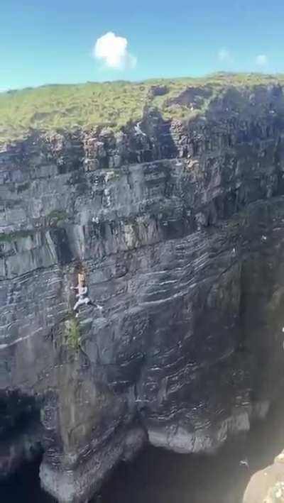 fuck this flying bird in particular