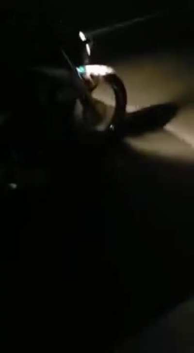 Hmft after I wheelie on a highway
