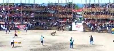 At least 5 dead and more than 500 injured after the collapse of a bullfight tower in Colombia; June 26, 2022