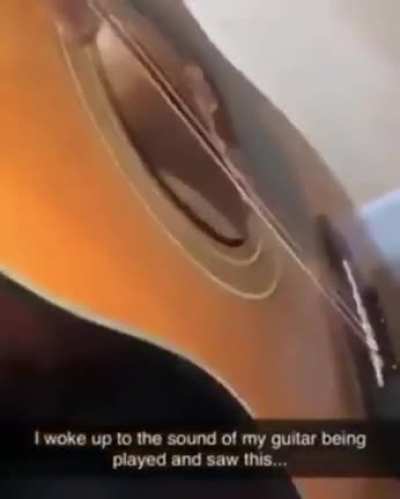 Blursed_Artist