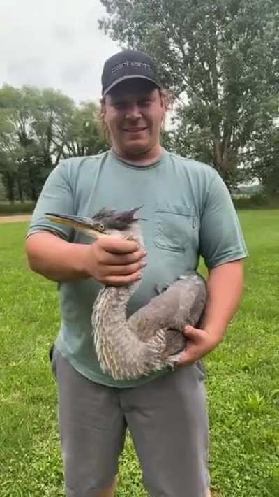 What a cute bird