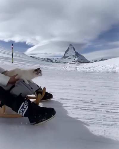 ⛷️👩🐈🎒🌍✈️🌏 ✦🌌 𝚌𝚘𝚝𝚘𝚋𝚊 &ndash; 𝓒𝓪𝓽 𝓕𝓪𝓷𝓽𝓪𝓼𝓽𝓲𝓬 (𝚃𝚃𝙽𝙶 𝚌𝚘𝚟𝚎𝚛) is 𝚘𝚗 𝙱𝙲 𝚗𝚘𝚠! ↳ 🔗 𝚒𝚗 𝚌𝚘𝚖𝚖𝚎𝚗𝚝𝚜