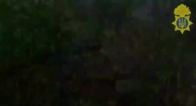 The Ukrainian national guard engaging Russian forces in a tree line (music from source)