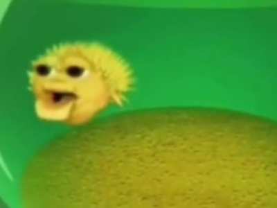 moldy fish