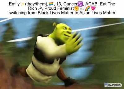 R&AElig;cisT