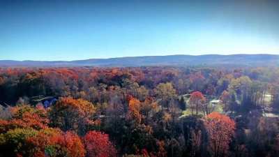Fall scenery in NY