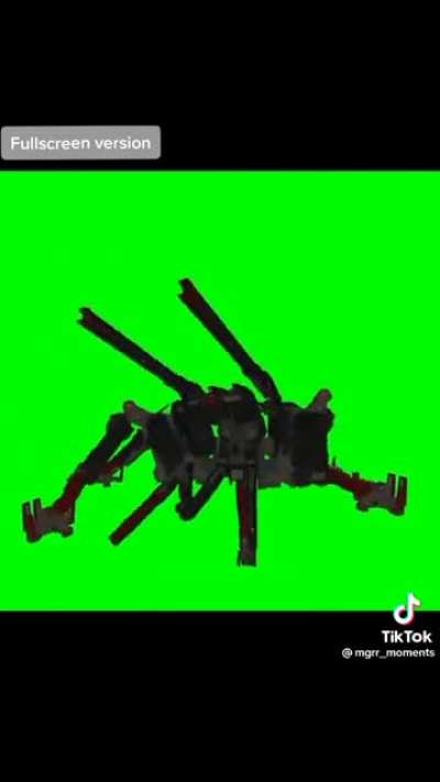 Mg