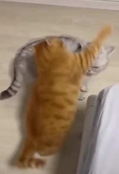 Maybe maybe maybe