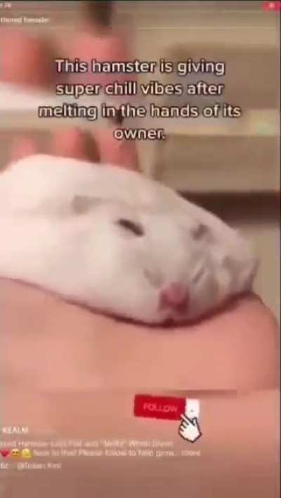 IS THAT A FLORP&trade;!!?!?!?!?!??!?!?!!?!?!?