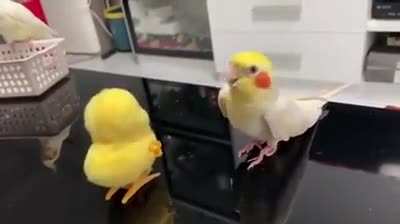 Wind Me Up