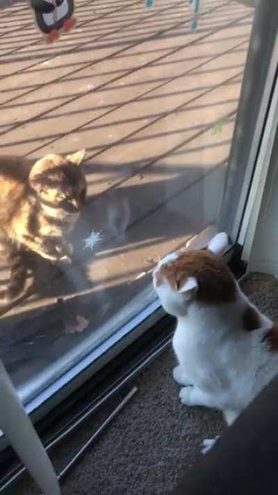 Don&rsquo;t touch him lol