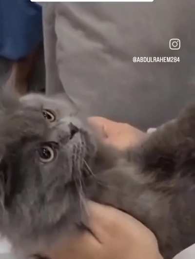 Sheikh teaching a cat the Shahada