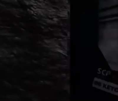 Saddest Roblox scp moment