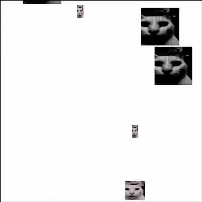 Wunkus gaming