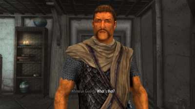 House MD in Skyrim - The Orange Whiterun Guard