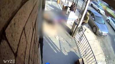 Two men sic their dogs on a pet cat only to be caught by the cat&rsquo;s owner.