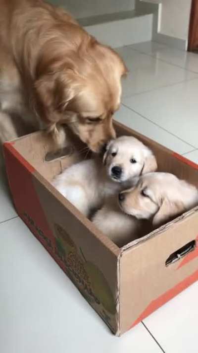 Are these mine now?