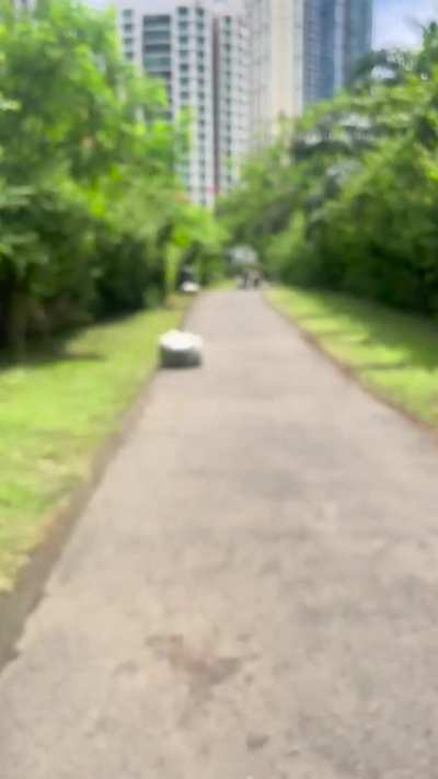 My iphone 12 mini&rsquo;s camera cannot focus properly 