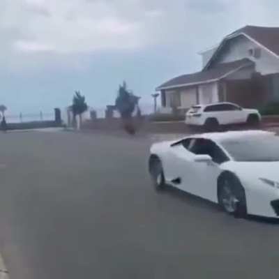 A stunt like no other