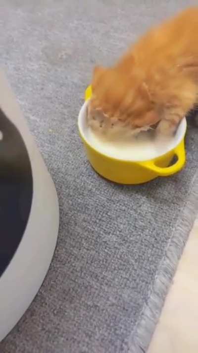 You're not you when you're hungry