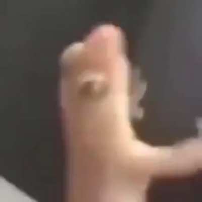 Even lizards have more fun than me