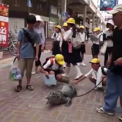 Man lives with pet alligator for the past 34 years