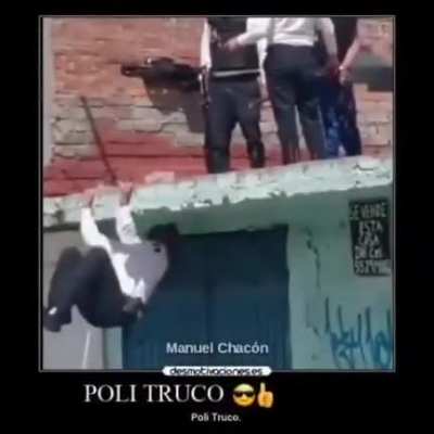 POLI TRUCO POLI TRUCO 😎👍