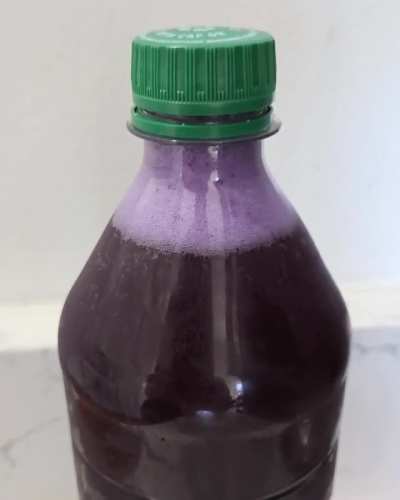 Butterfly pea flower ginger bug soda experiment. Seemed to work a little too well (2nd part of video)