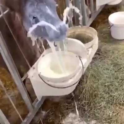 hmmm