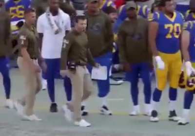 Команда LA Rams ("Бараны Лос-Анджелеса") наняла на работу отдельного помощника тренера, задача которого - следить, чтобы главный тренер Шон Маквей не столкнулся на поле с судьями