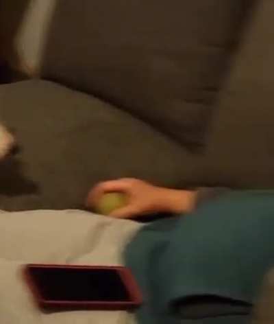 I&rsquo;m a good boy! I&rsquo;m a good boy!