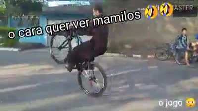 macaco
