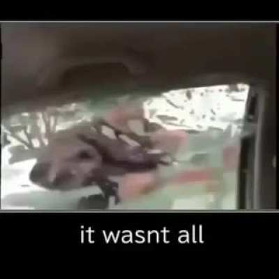 is that all?