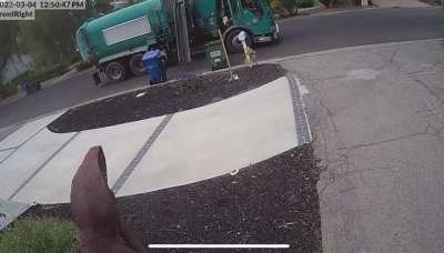 My buddy&rsquo;s trash can disappeared. His Ring solved the mystery.