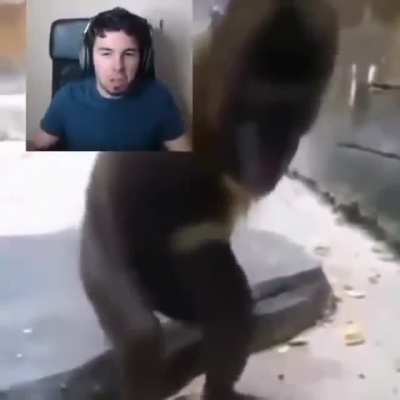Tikitikitikitiii:0