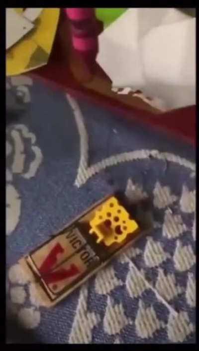 Mouse trap