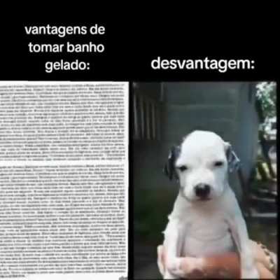 kkkkkkkkkkkk bem assim 