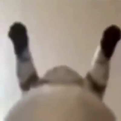wata