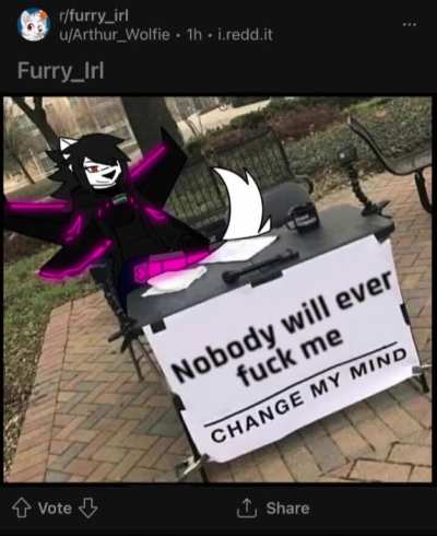 they will