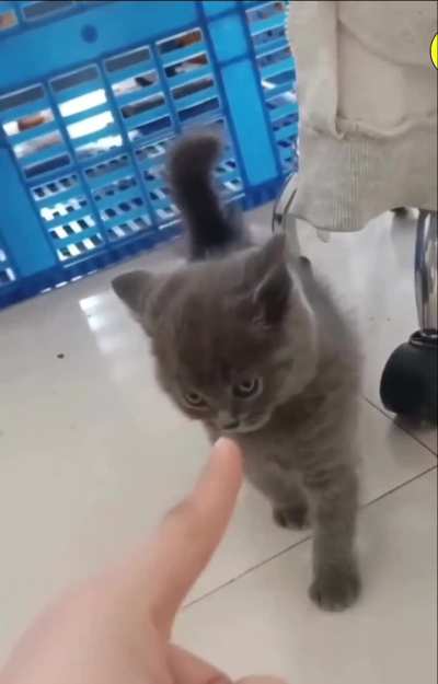 The finger is the worst enemy