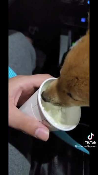 Tava tudo indo t&atilde;o bem...